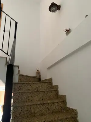 a staircase with a potted plant on top of it at Casa Pera in Chilches