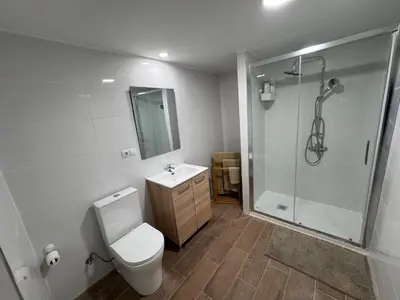 a bathroom with a toilet and a shower and a sink at Albalat Centro in Albalat de la Ribera