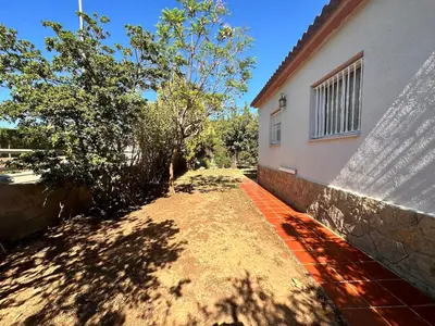 a sidewalk next to a building with a tree at Casa Mar in Valencia