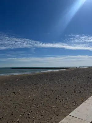 a walkway on the beach with palm trees and buildings at Puzol Playa in Puzol
