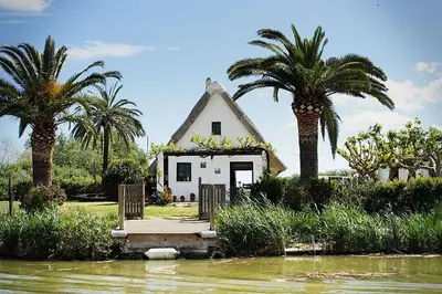 a house with palm trees in front of a body of water at Casa Enredadera in Mareny Blau