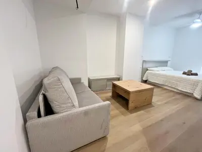 a living room with a couch and a bed at Loft en el Centro De Valencia Botánico 1 in Valencia