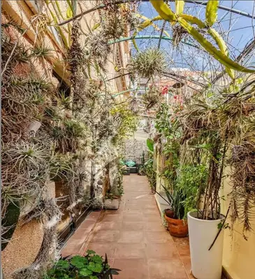 a bunch of plants on the side of a building at OASIS EPÍFITO URBANO Botanical Wellness Oasis near City of Arts & Sciencies in Valencia