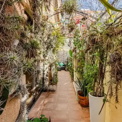 OASIS EPÍFITO URBANO Botanical Wellness Oasis near City of Arts & Sciencies