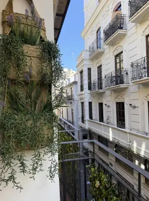 a building with a planter filled with plants at Nuevo, centrico y luminoso Apartamento casaslacambra in Valencia