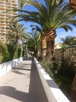 a sidewalk with palm trees and a building at Apartamento PuigVal in El Puig