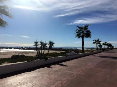 a road next to the beach with palm trees at Apartamento PuigVal in El Puig