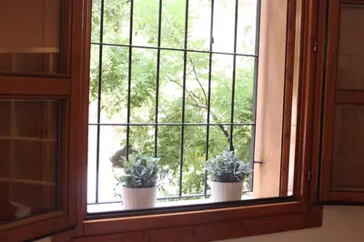 two potted plants sitting on a window sill at Apartamento Torres in Valencia