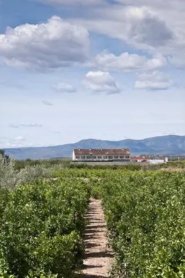 a dirt path through a field with a building in the background at Hotel Puerta de la Serrania in Lliria