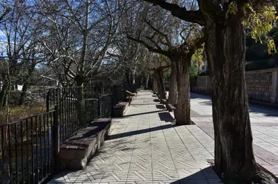 a row of trees on a sidewalk next to a fence at Alojamientos Segóbriga Rural (Artesa) in Segorbe