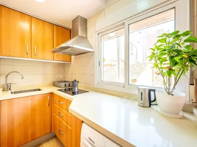 a kitchen with wooden cabinets and a potted plant on the counter at Ático de Lujo Plaza Ayuntamiento in Valencia