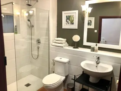 a bathroom with a shower and a toilet and a sink at Apartamentos turísticos 
