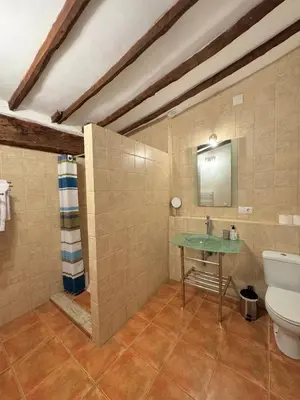 a bathroom with a toilet and a green sink at Apartamentos turísticos 