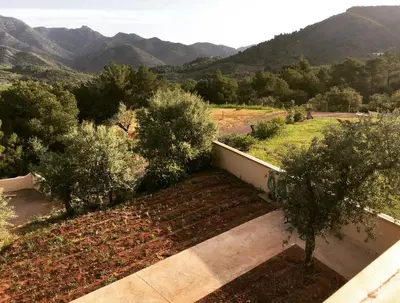 a garden with trees and mountains in the background at Mar de Fulles in Alfondeguilla