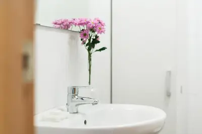 a bathroom sink with a vase of pink flowers in a mirror at Victoria Site-Mercat Central in Valencia