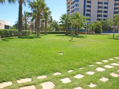 a park with palm trees and a grass field at ApartUP Patacona Panoramic in Valencia