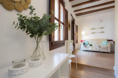a kitchen and living room with a vase of flowers on a counter at Blanquerias Apartments in Valencia