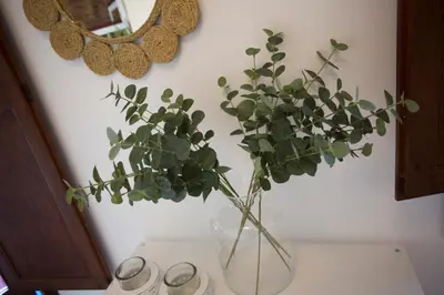 a vase with plants in it on a table at Blanquerias Apartments in Valencia