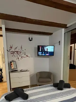 a bedroom with a bed with a tv on the wall at Apartamentos El Olivo in Valencia