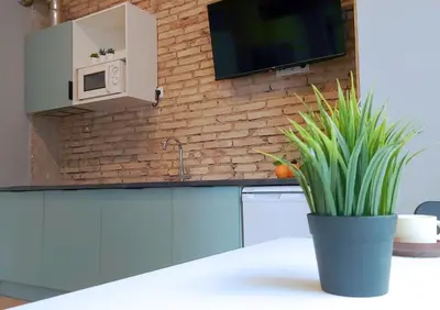a kitchen with a potted plant sitting on a counter at La Casa Verde - Ruzafa in Valencia