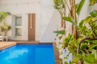 a swimming pool in a house with plants at VLVilla - Villa de lujo en Valencia con piscina privada y sala de cine in Burjasot