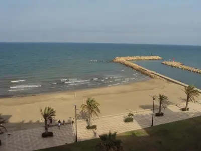 a view of a beach with palm trees and the ocean at Mirant el Mar in Port Saplaya