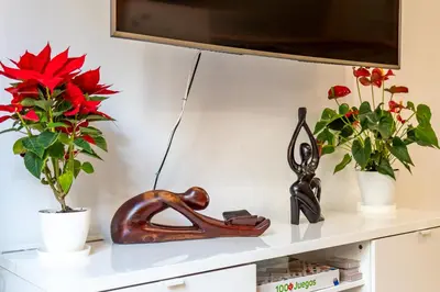 a shelf with two flowers and a lamp on it at Atico Ruzafa Valencia centro in Valencia