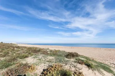 a sandy beach with grass and the ocean at Abaco in Playa de Xeraco