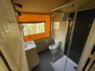 a bathroom with a shower and a toilet and a sink at Devesa Gardens in El Saler