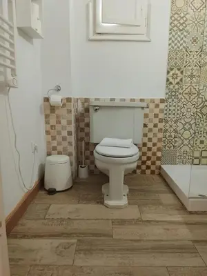 a bathroom with a toilet and a shower at Concept Rooms in Valencia