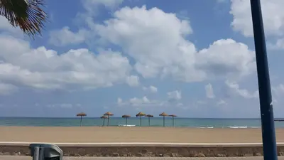 a row of umbrellas on a beach with the ocean at Casa Dora Puzol playa in Puzol