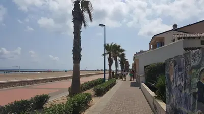 a sidewalk next to a beach with palm trees at Casa Dora Puzol playa in Puzol