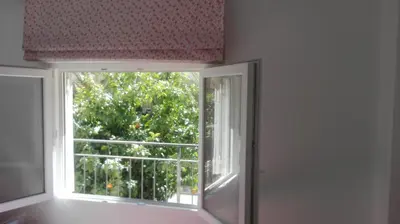 an open window with a view of a tree at Apartamento Jardín de Ayora in Valencia