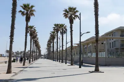 a row of palm trees on a sidewalk next to a building at ApartUP Patacona Horizon in Valencia