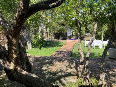 a group of trees in a yard with a pathway at El Secanet in Algimia de Alfara