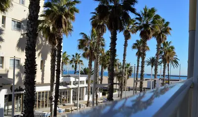a view of the beach from the balcony of a hotel with palm trees at Hotel Miramar Valencia in Valencia