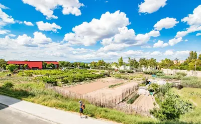 a person standing on a sidewalk looking at a garden at Biopark View Apartment in Valencia