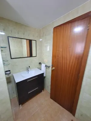 a bathroom with a sink and a wooden door at APARTAMENTO BEATRIZ 2 in Burriana