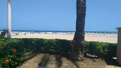 a palm tree sitting next to a beach at Cullera Beach by Zagal Apartments in Cullera