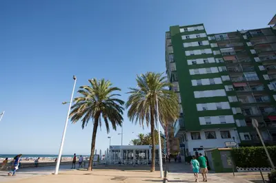 a group of palm trees on a beach with a tall building at Apartments Cullera Beach in Cullera