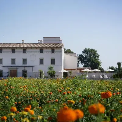 La Mozaira