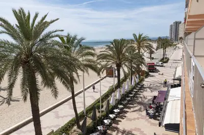a view of the beach and palm trees from a building at Apolo, 3º-16 in Cullera