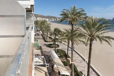 a view of a beach with palm trees and a train at Apolo, 5º- 30 in Cullera