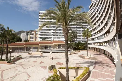 a palm tree in a courtyard in front of a building at Florazar 2, Vi-1-C in Cullera