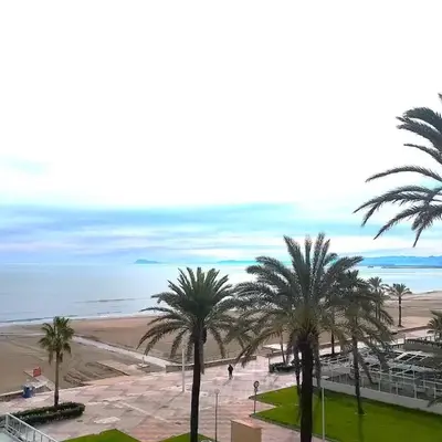 Florazar 3