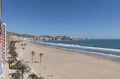 a view of a beach with palm trees and the ocean at Frontalmar, Esc-B, 8º-32 in Cullera