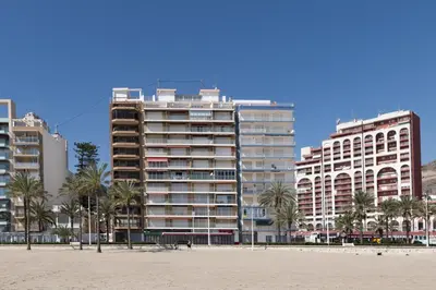 a group of buildings on a beach with palm trees at Frontalmar, Esc-B, 8º-32 in Cullera
