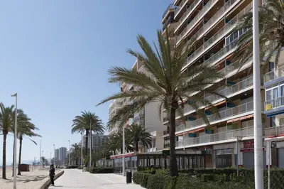 a palm tree in front of a building at Frontalmar, Esc-B, 8º-32 in Cullera