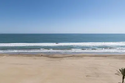 a beach with a palm tree and the ocean at Frontalmar, Esc-B, 8º-32 in Cullera
