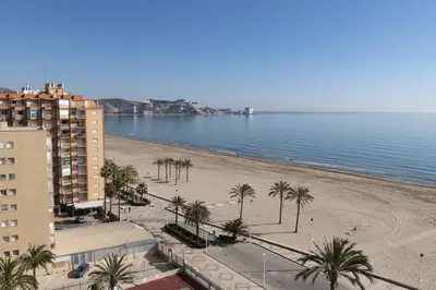 a view of a beach with palm trees and buildings at Lider, 10-B in Cullera